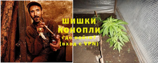 ECSTASY Костерёво