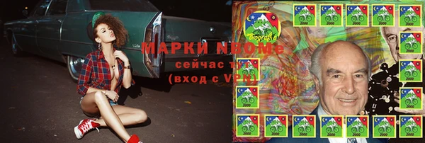 a pvp Коряжма