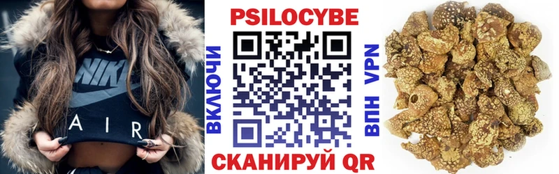 как найти наркотики  Сусуман  Псилоцибиновые грибы Psilocybe 
